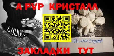 ПСИЛОЦИБИНОВЫЕ ГРИБЫ Тара