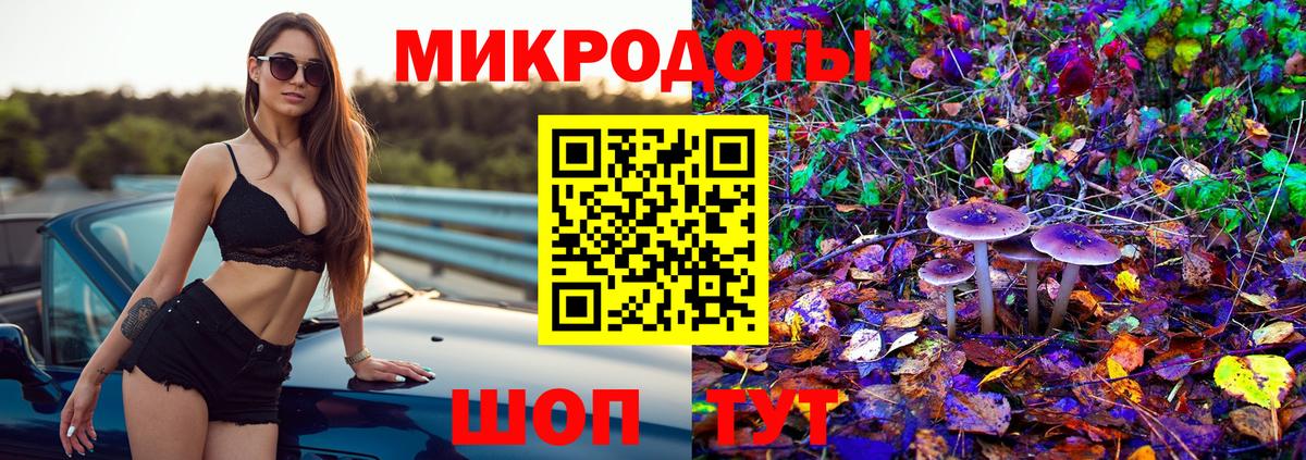 Псилоцибиновые грибы MAGIC MUSHROOMS Чайковский