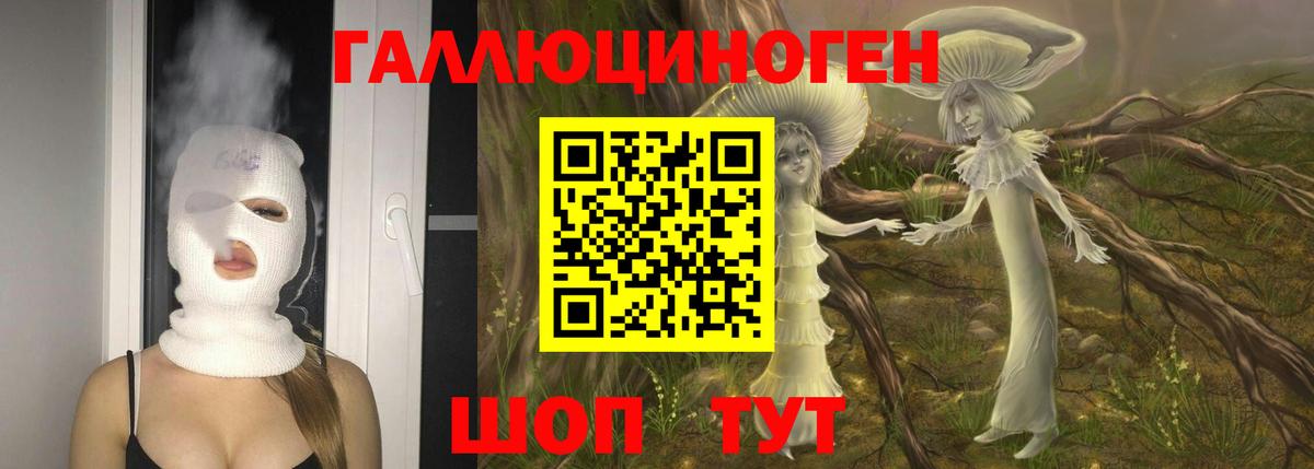Чайковский  Псилоцибиновые грибы GOLDEN TEACHER  Вход с VPN  Псилоцибиновые грибы Psilocybe 